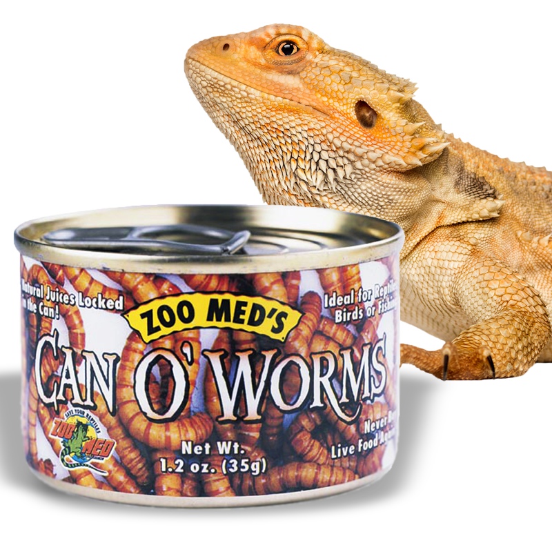 Zoomed Can O' Worms - canned food with mealworm larvae